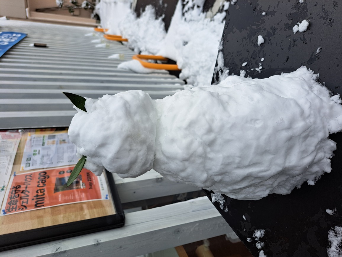 寒波襲来⛄ 画像