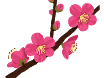 今日は立春！ アイキャッチ画像