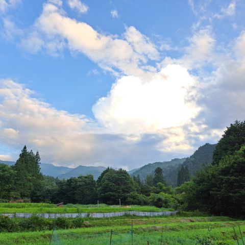 大自然！ アイキャッチ画像